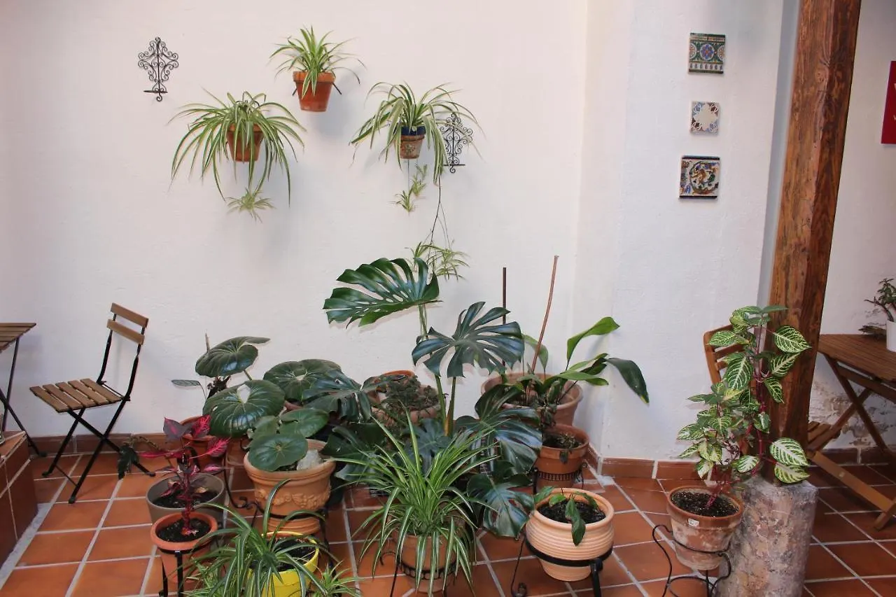 דירות טולדו La Casa Toledana Estudio - Patio Y Artesonado